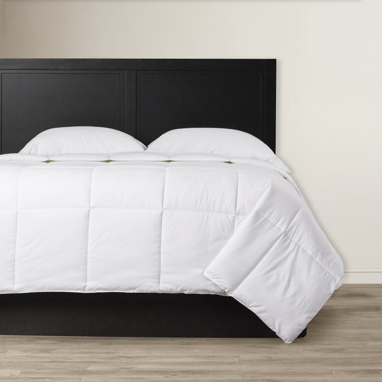 Lavish Home Microfiber Down Alternative Comforter & Reviews Wayfair